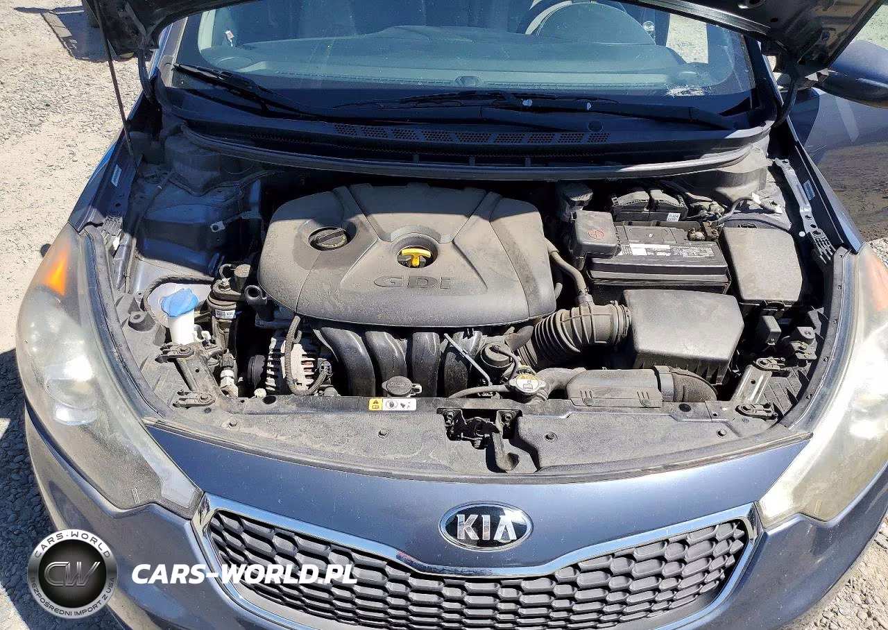 2015 Kia Forte Ex VIN:KNAFZ4A84F5282583 - 11