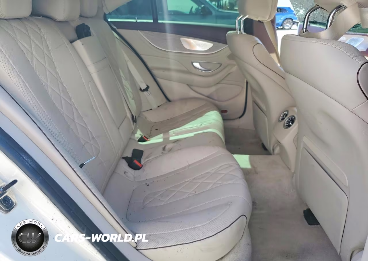 2019 Mercedes-Benz Cls 450 VIN:WDD2J5JB3KA030728 - 10
