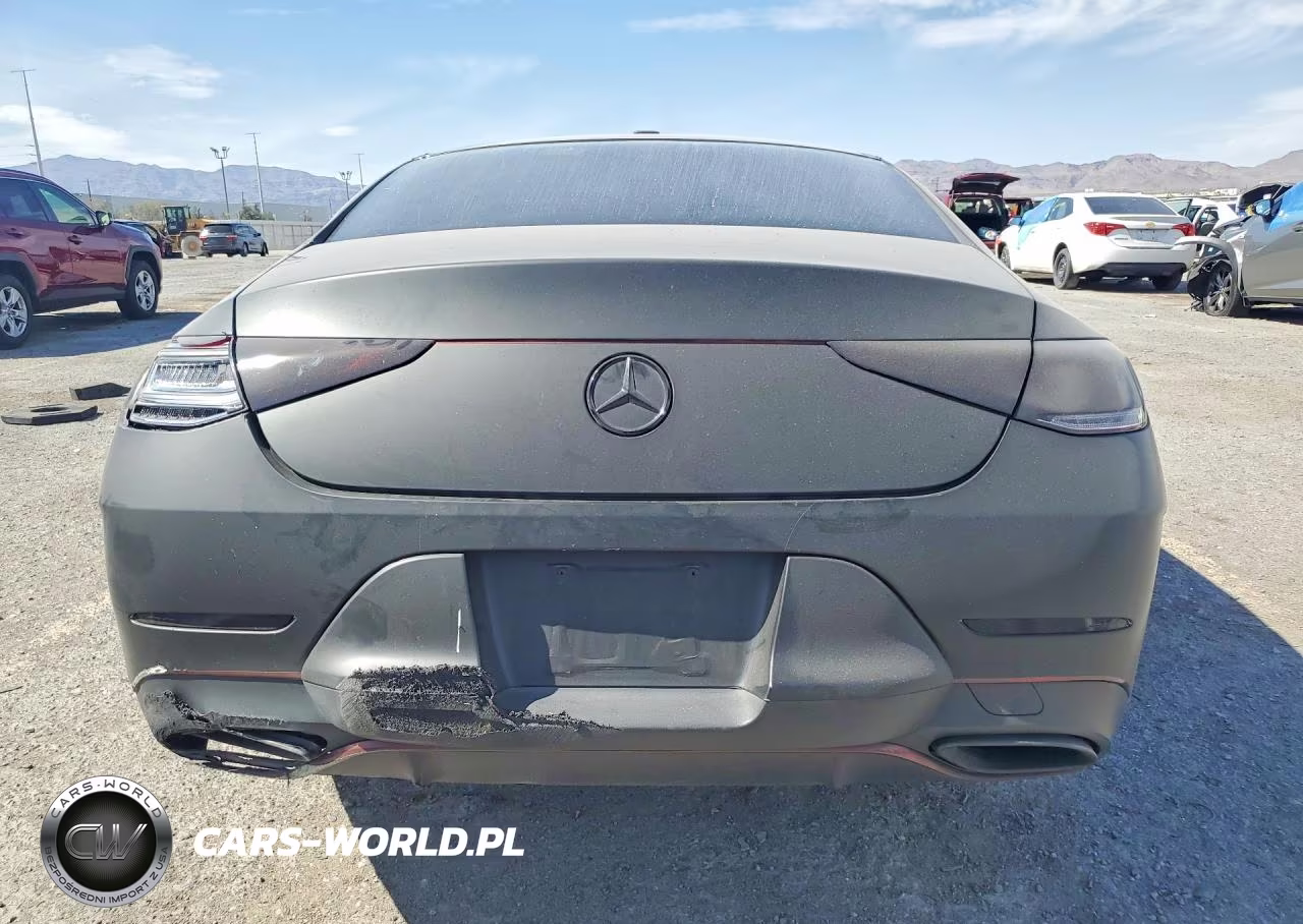2019 Mercedes-Benz Cls 450 VIN:WDD2J5JB3KA030728 - 6