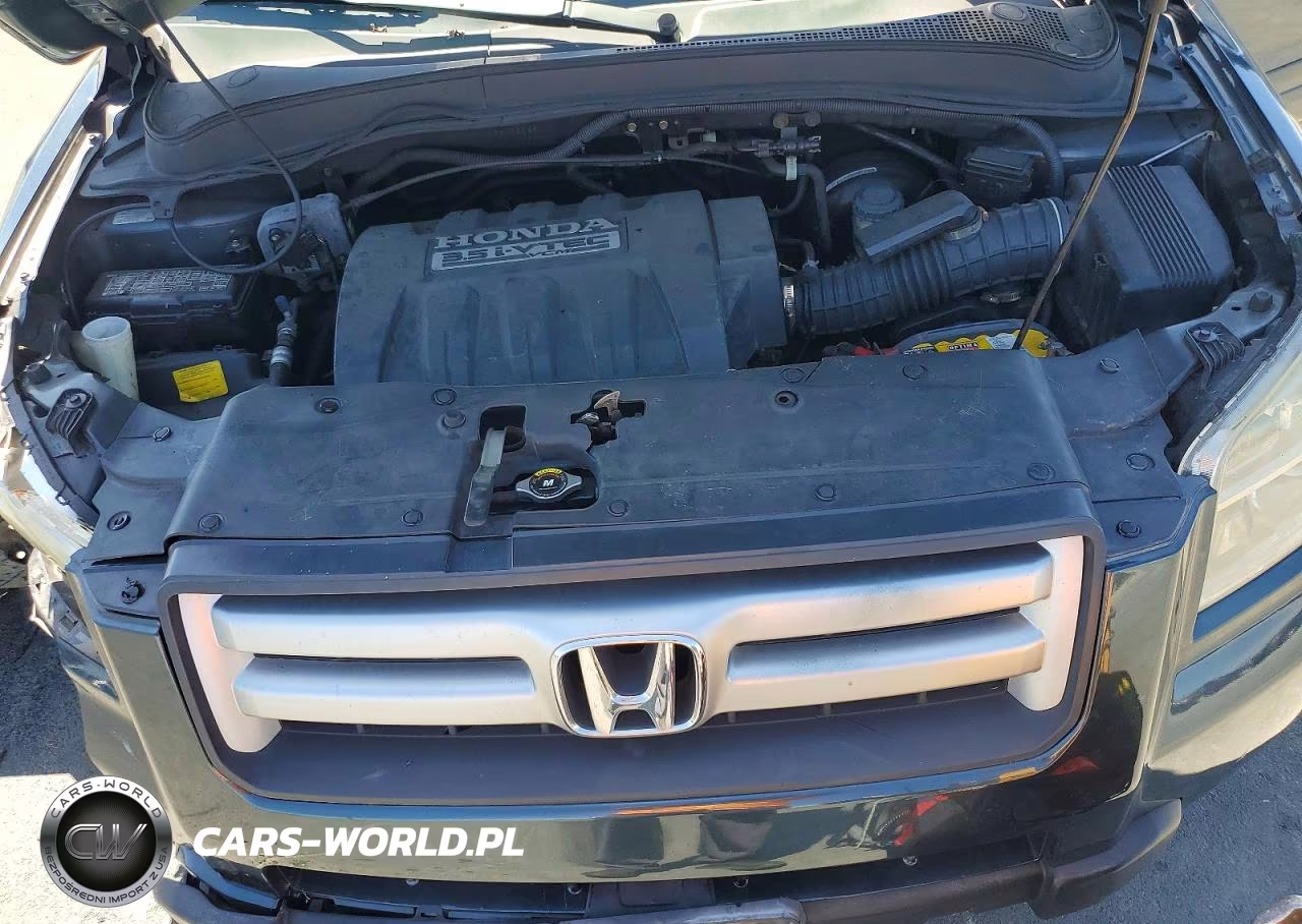 2006 Honda Pilot Ex VIN:5FNYF28446B025286 - 11