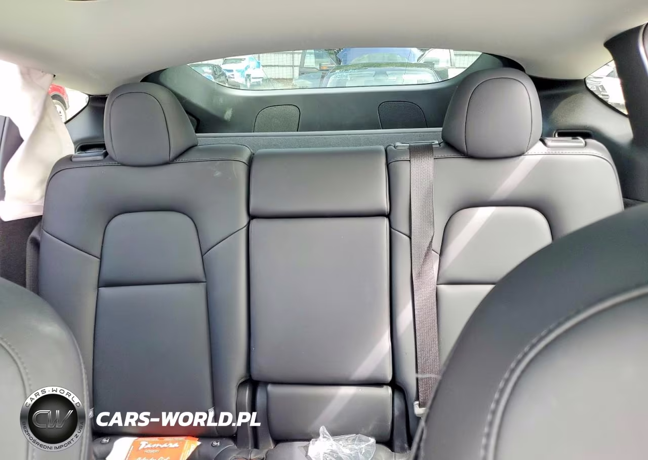 2024 Tesla Model Y VIN:7SAYGDEE2RA328562 - 10