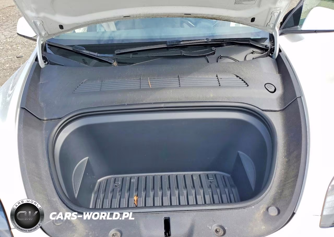 2024 Tesla Model Y VIN:7SAYGDEE2RA328562 - 12