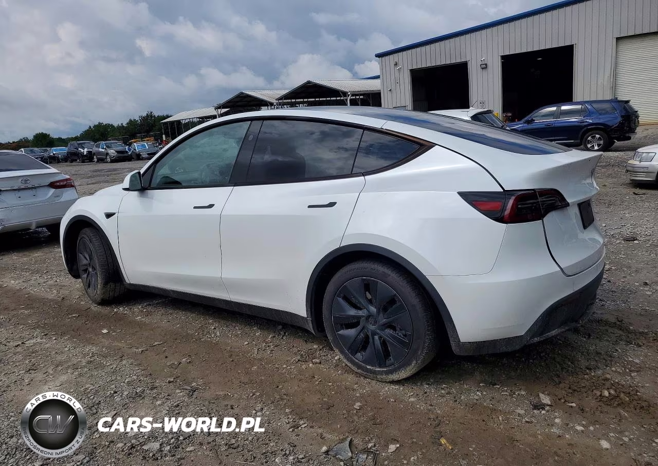 2024 Tesla Model Y VIN:7SAYGDEE2RA328562 - 2