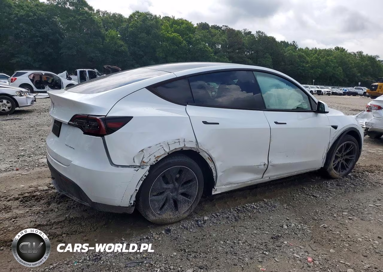 2024 Tesla Model Y VIN:7SAYGDEE2RA328562 - 3