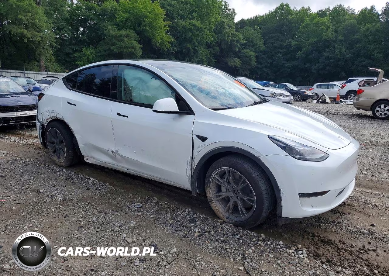 2024 Tesla Model Y VIN:7SAYGDEE2RA328562 - 4