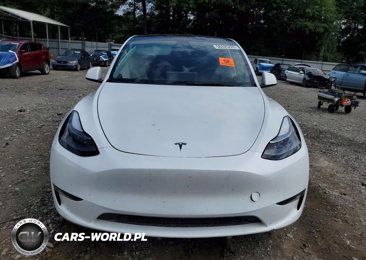 2024 Tesla Model Y VIN:7SAYGDEE2RA328562 - 5