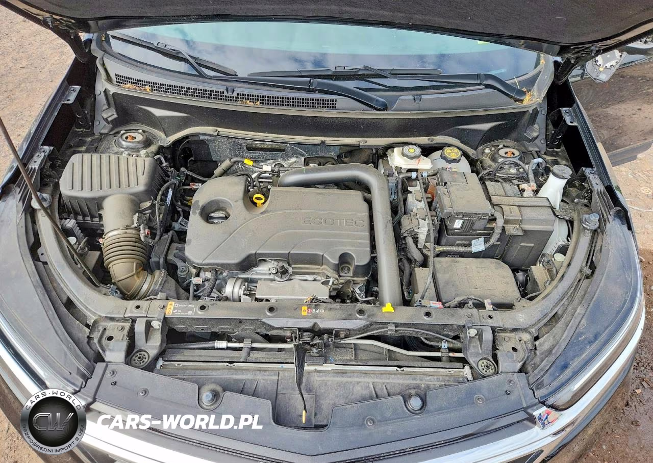 2024 Chevrolet Equinox Lt VIN:3GNAXKEG2RL181689 - 12