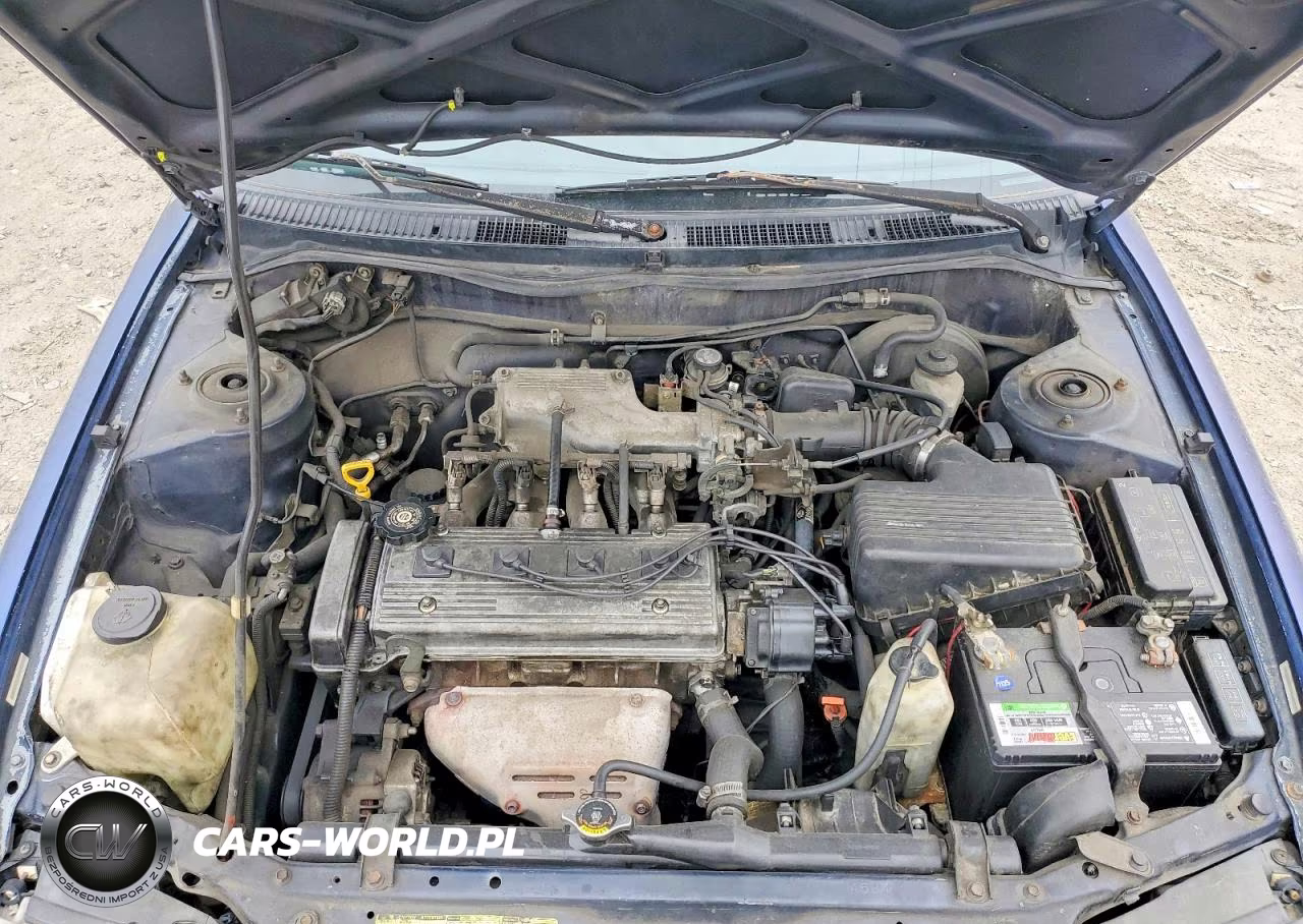 1997 Toyota Corolla Base VIN:1NXBA02EXVZ558772 - 11