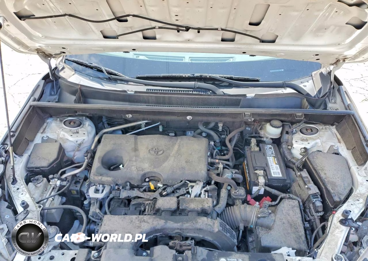 2019 Toyota Rav4 Le VIN:JTMH1RFV1KD503720 - 12