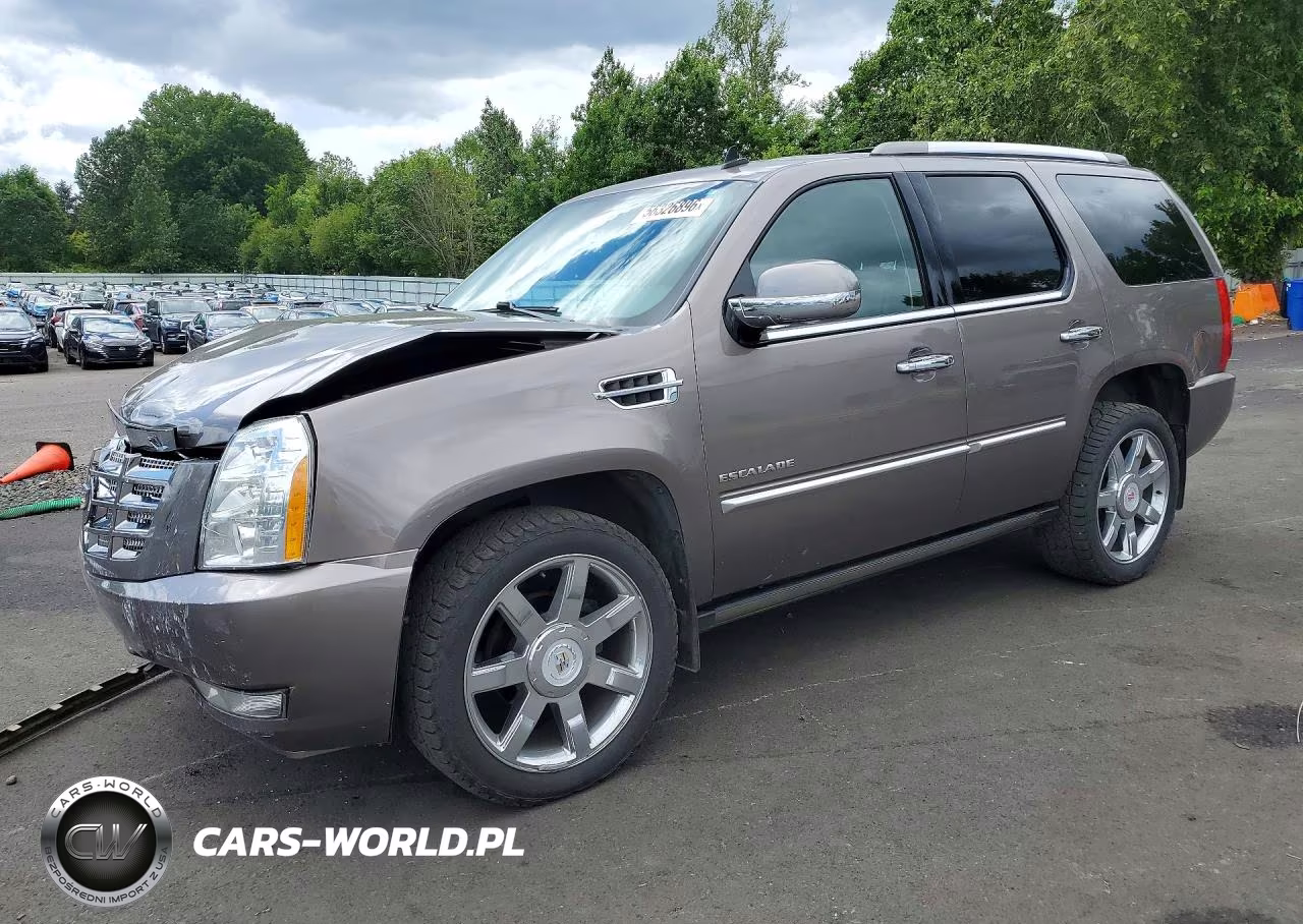 2011 Cadillac Escalade Premium VIN:1GYS4CEFXBR371123 - 1