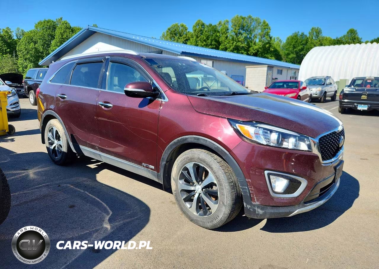 2016 Kia Sorento Ex VIN:5XYPHDA50GG132866 - 4