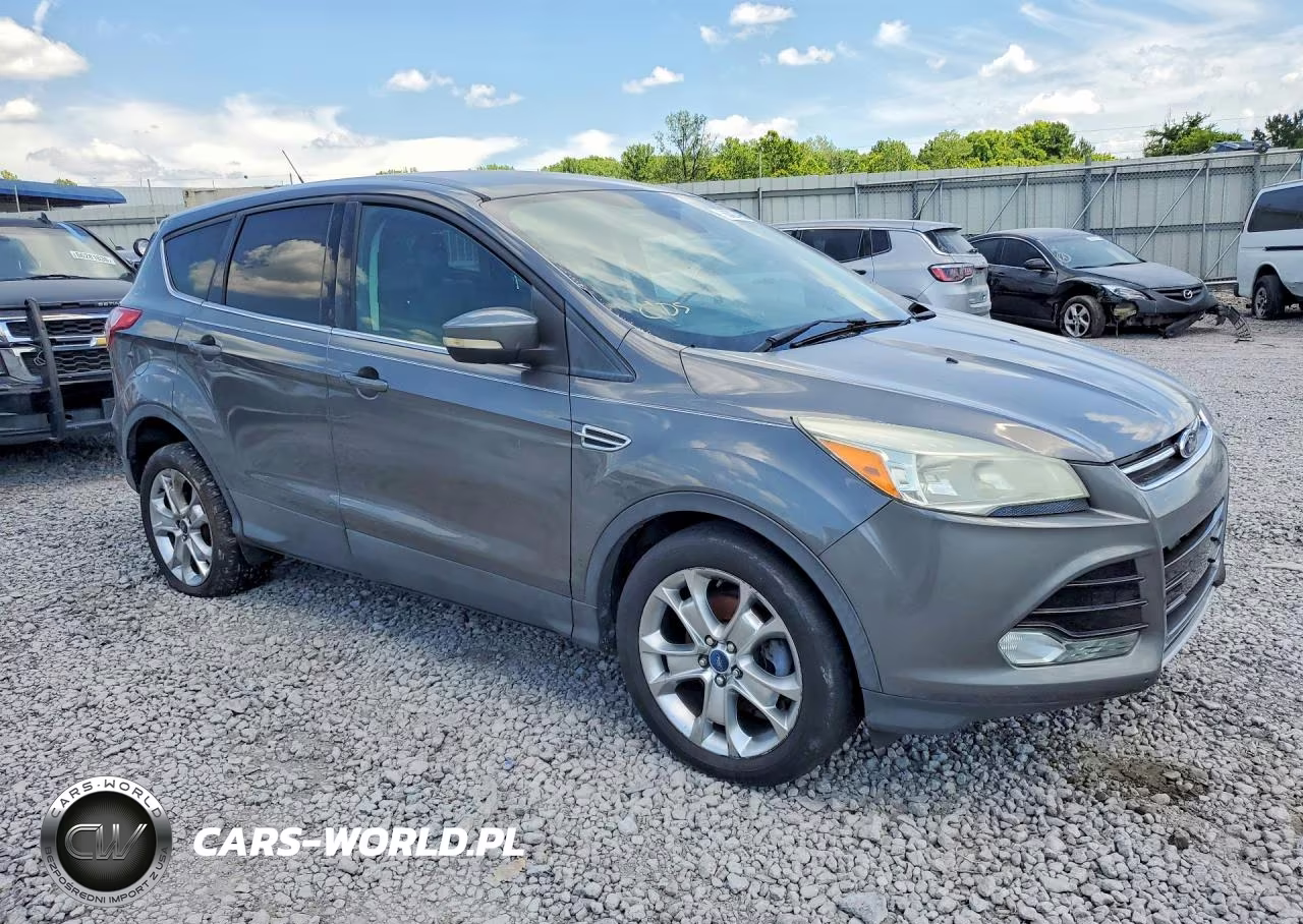 2013 Ford Escape Sel VIN:1FMCU0HX4DUC25373 - 4