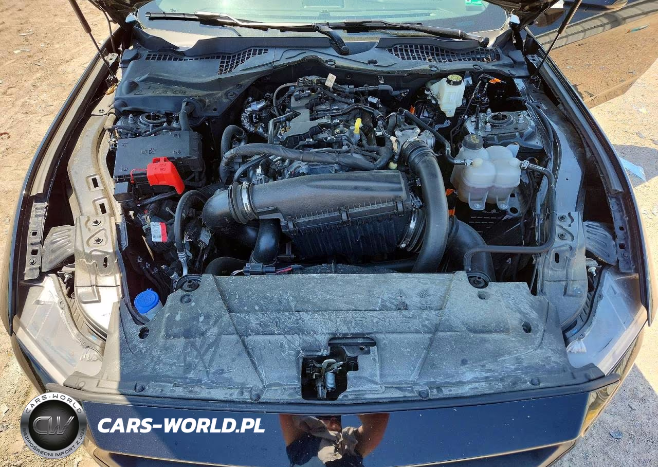 2024 Ford Mustang VIN:1FA6P8TH6R5138430 - 11
