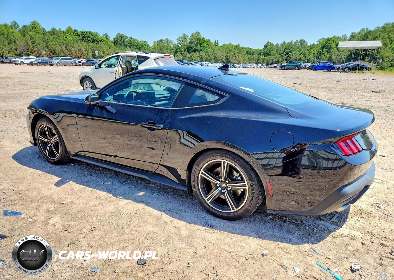 2024 Ford Mustang VIN:1FA6P8TH6R5138430 - 2