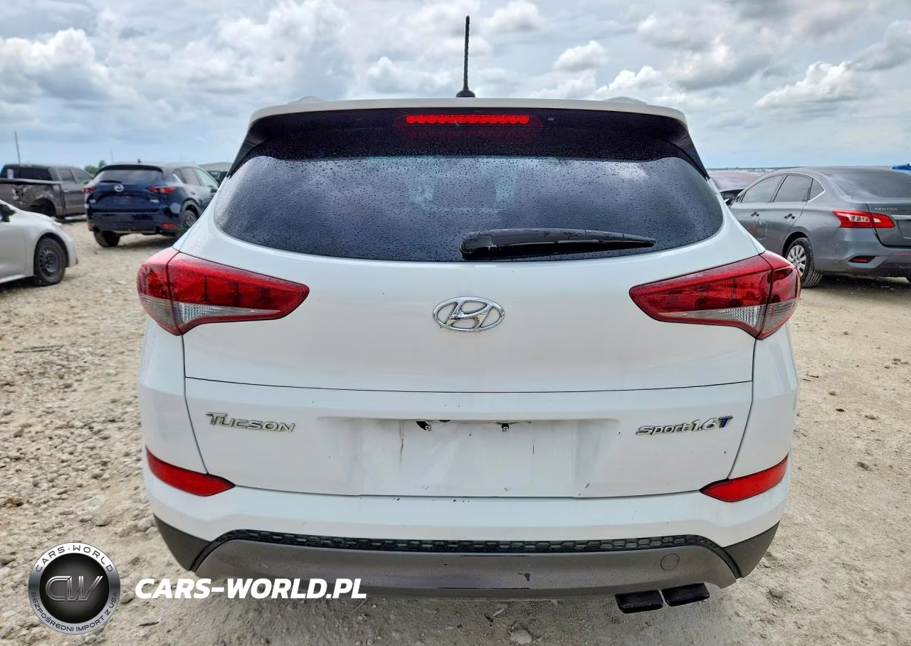 2016 Hyundai Tucson Sport VIN:KM8J33A20GU069010 - 6