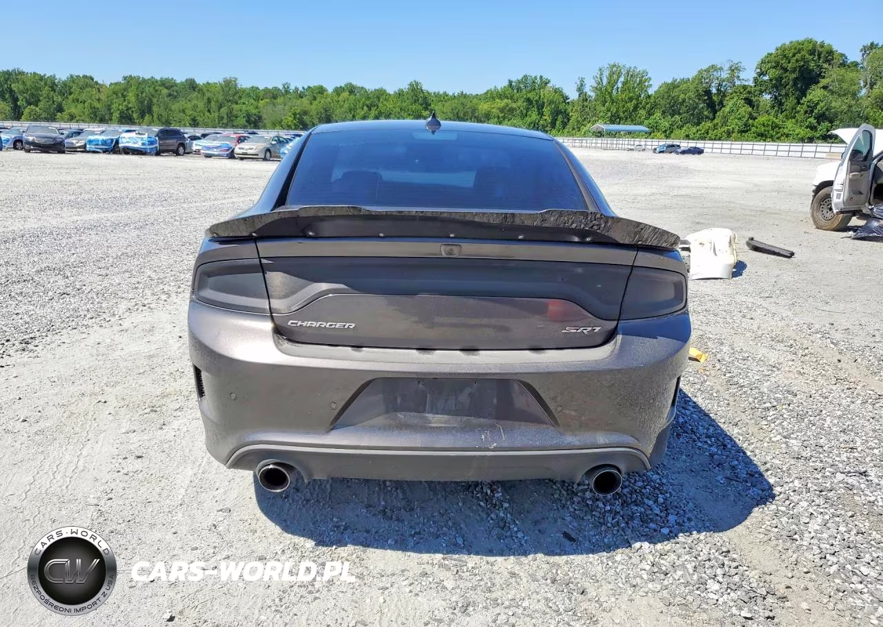 2016 Dodge Charger Srt 392 VIN:2C3CDXEJ8GH292065 - 6