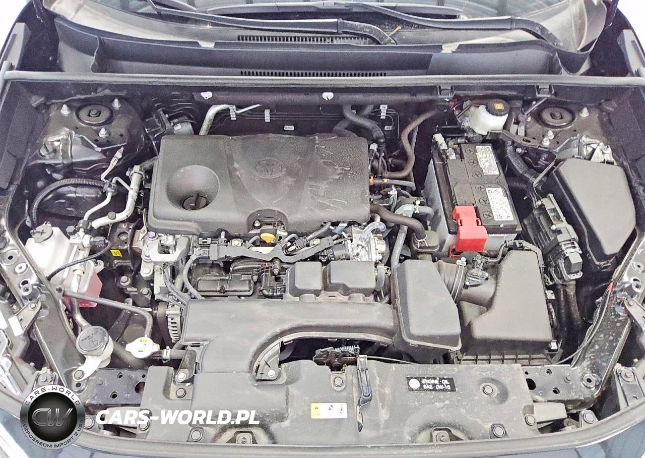 2025 Toyota Rav4 Xle VIN:2T3W1RFV6SC349677 - 11