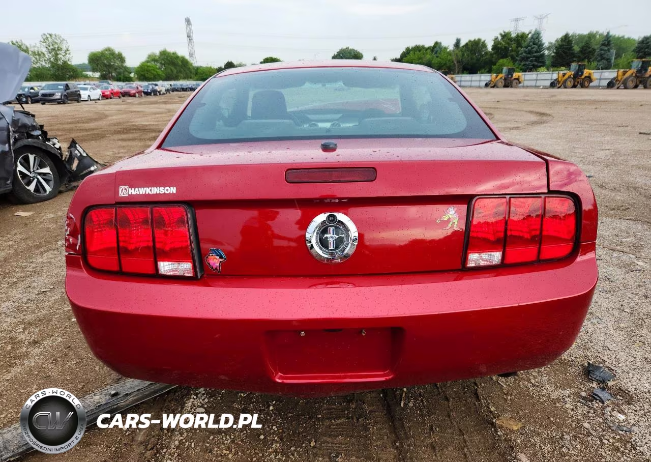 2008 Ford Mustang VIN:1ZVHT80N685178351 - 6
