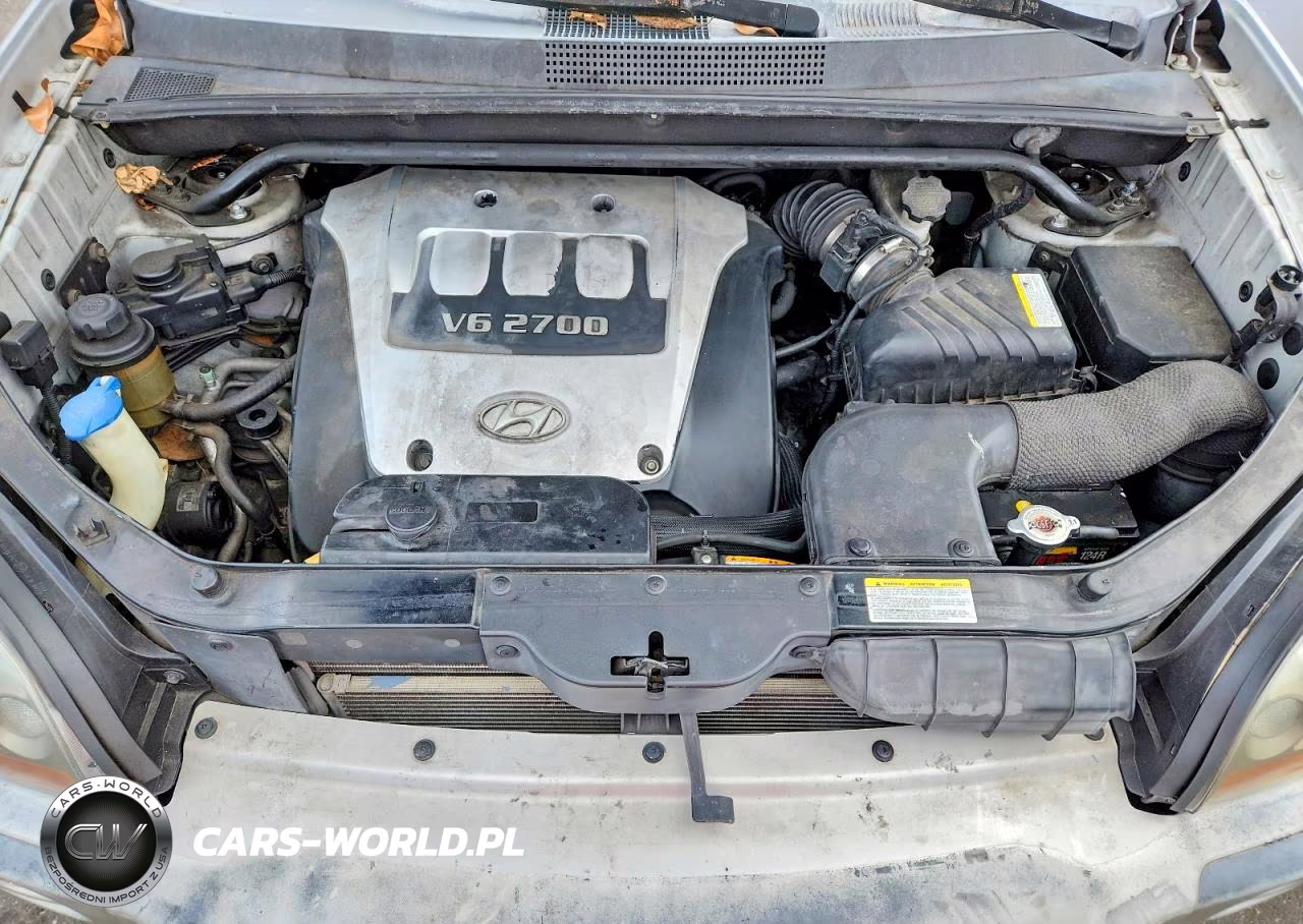 2006 Hyundai Tucson Gls VIN:KM8JN12D86U265158 - 12