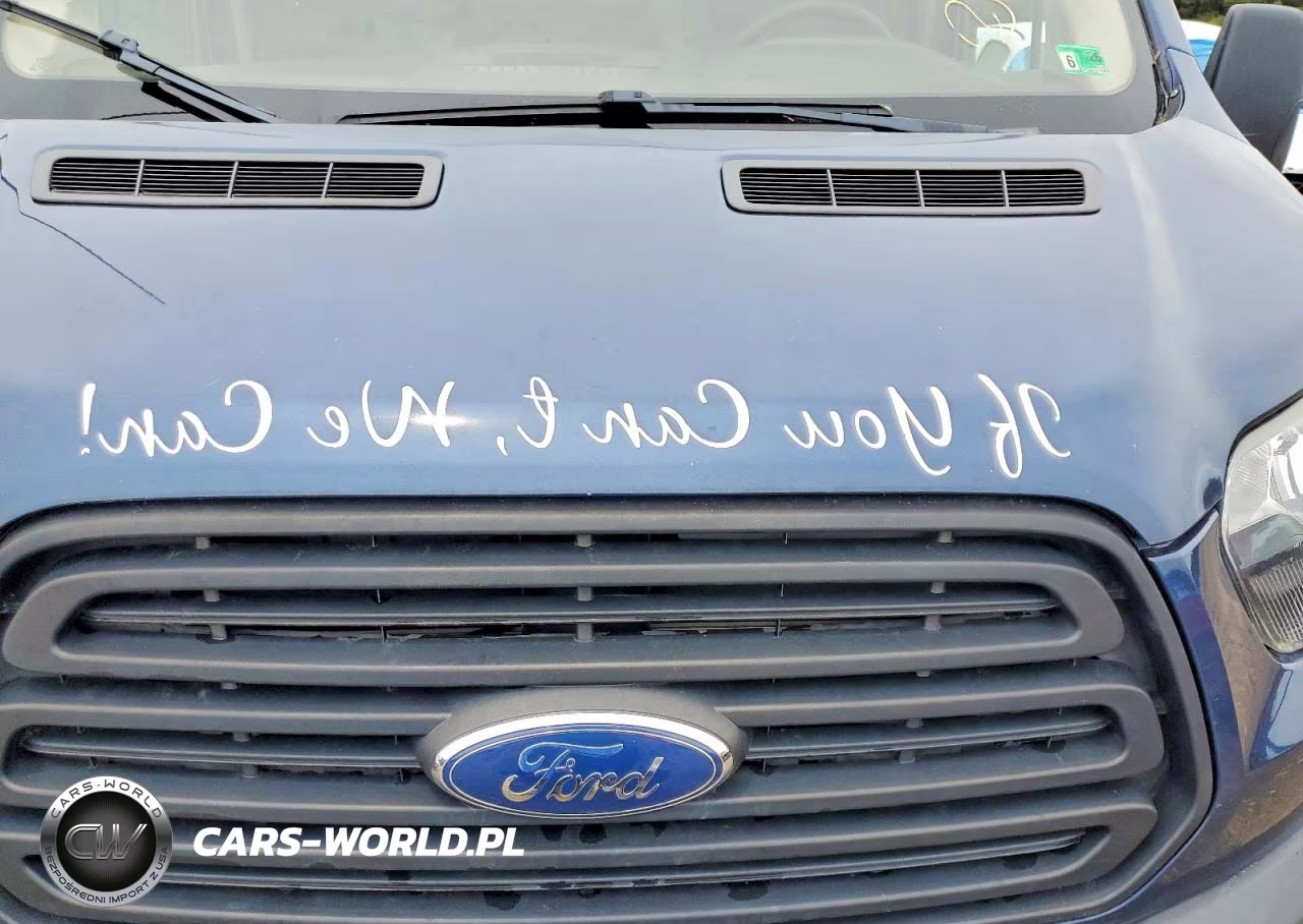 2019 Ford Transit T-250 Utility - Service Van VIN:1FTYR3XM2KKB06525 - 11