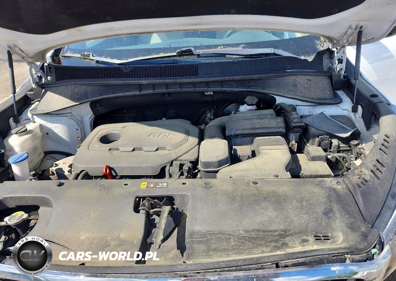 2019 Kia Sorento Lx VIN:5XYPGDA3XKG510492 - 12