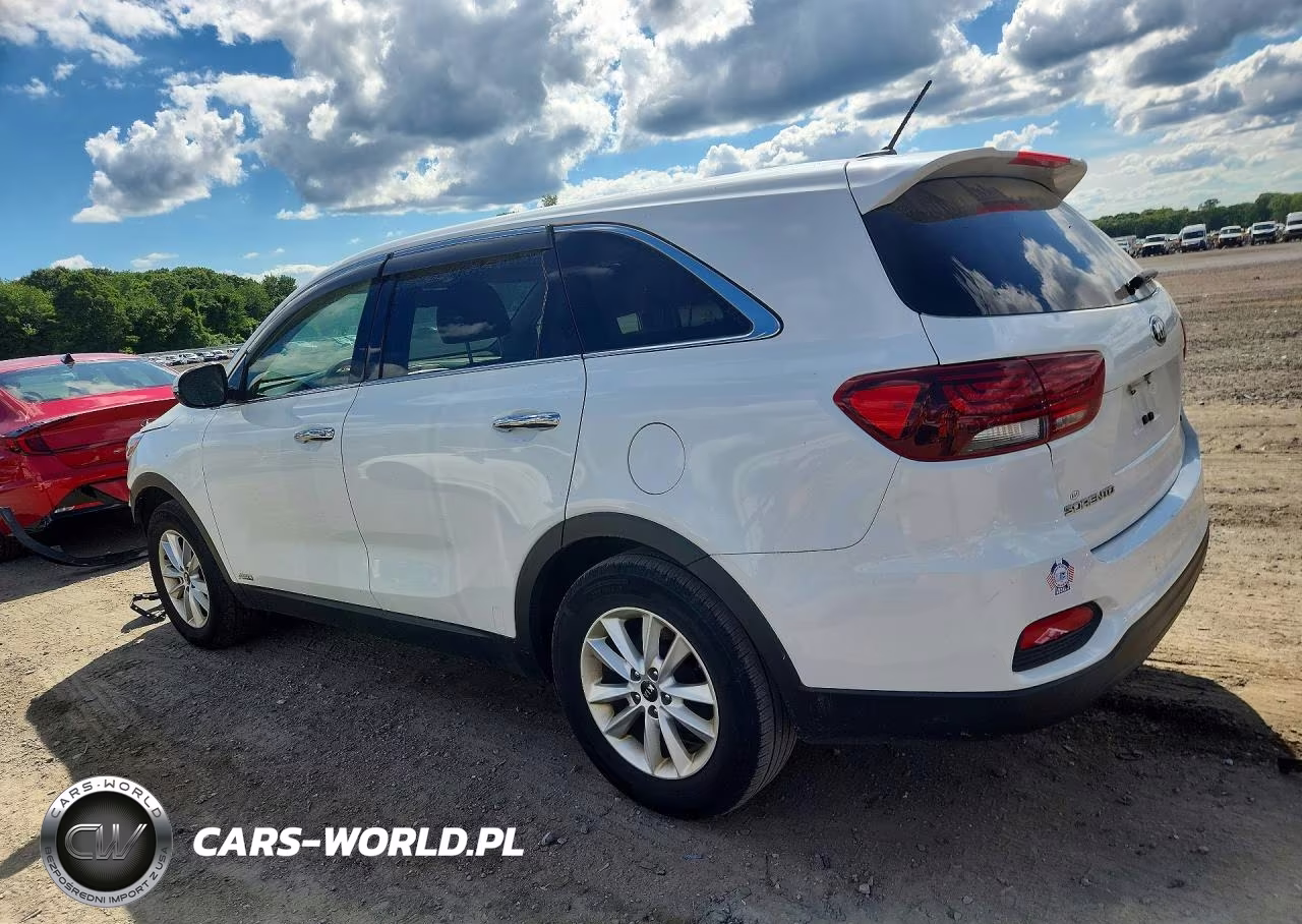 2019 Kia Sorento Lx VIN:5XYPGDA3XKG510492 - 2