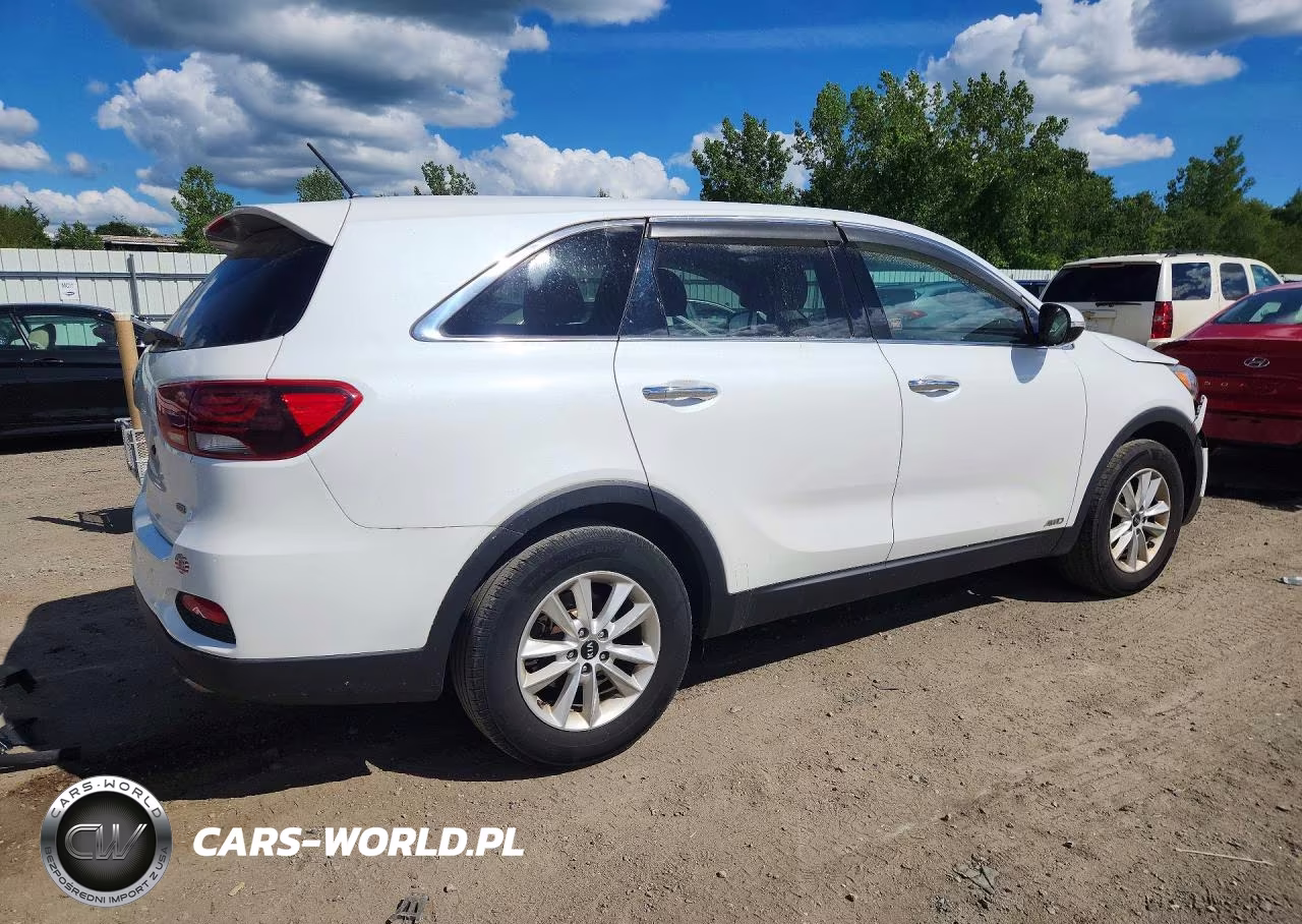 2019 Kia Sorento Lx VIN:5XYPGDA3XKG510492 - 3