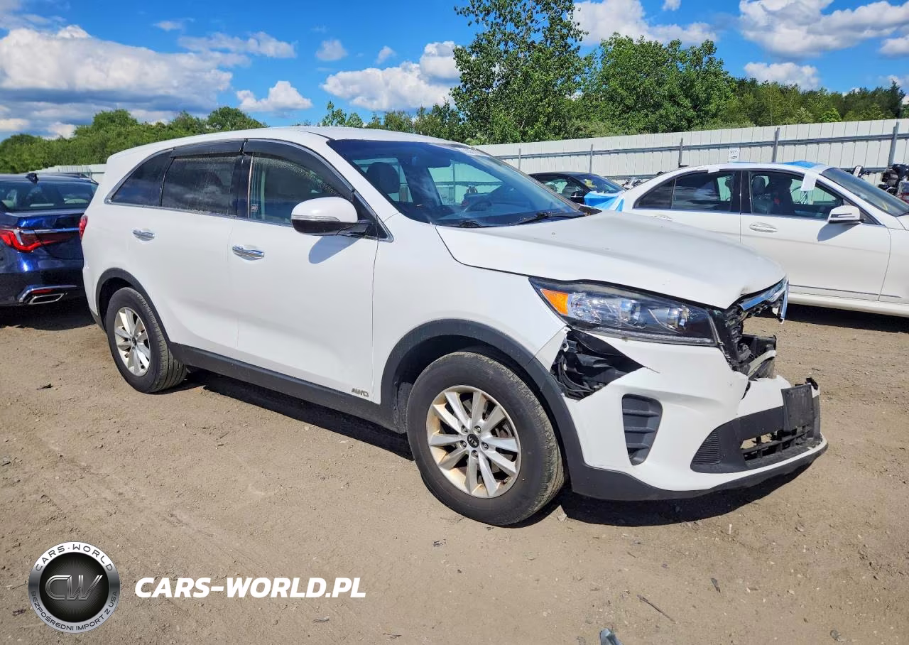2019 Kia Sorento Lx VIN:5XYPGDA3XKG510492 - 4