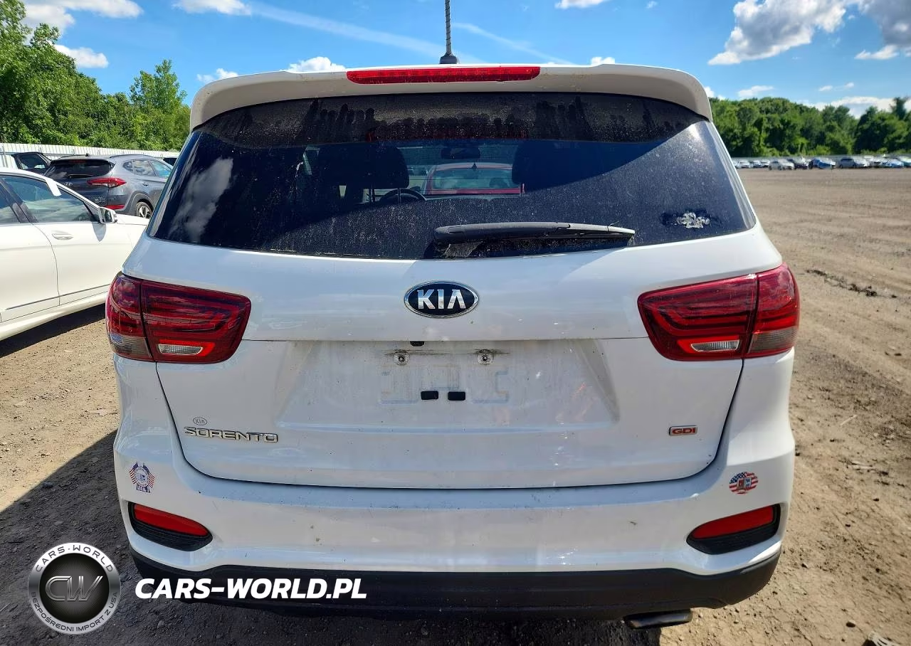 2019 Kia Sorento Lx VIN:5XYPGDA3XKG510492 - 6