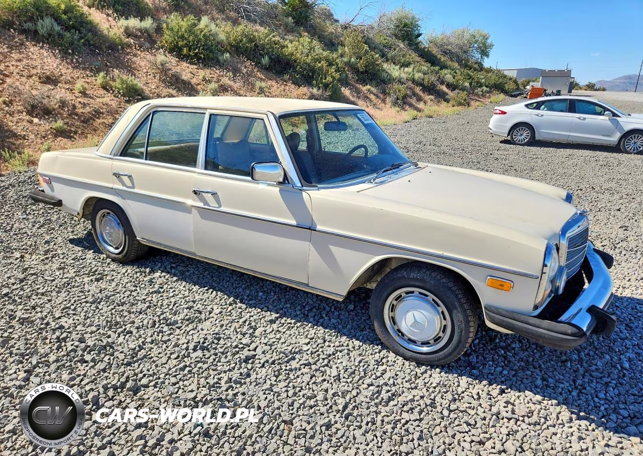 1976 Mercedes-Benz W115 VIN:11511412042351 - 4