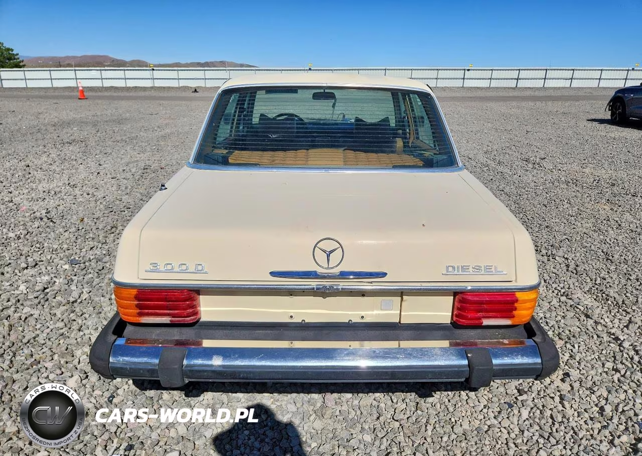 1976 Mercedes-Benz W115 VIN:11511412042351 - 6