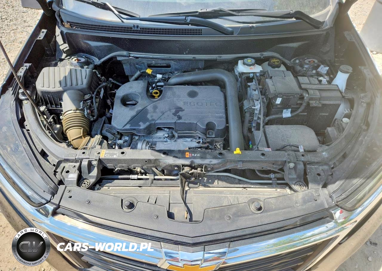 2024 Chevrolet Equinox Lt VIN:3GNAXUEG4RL240205 - 12