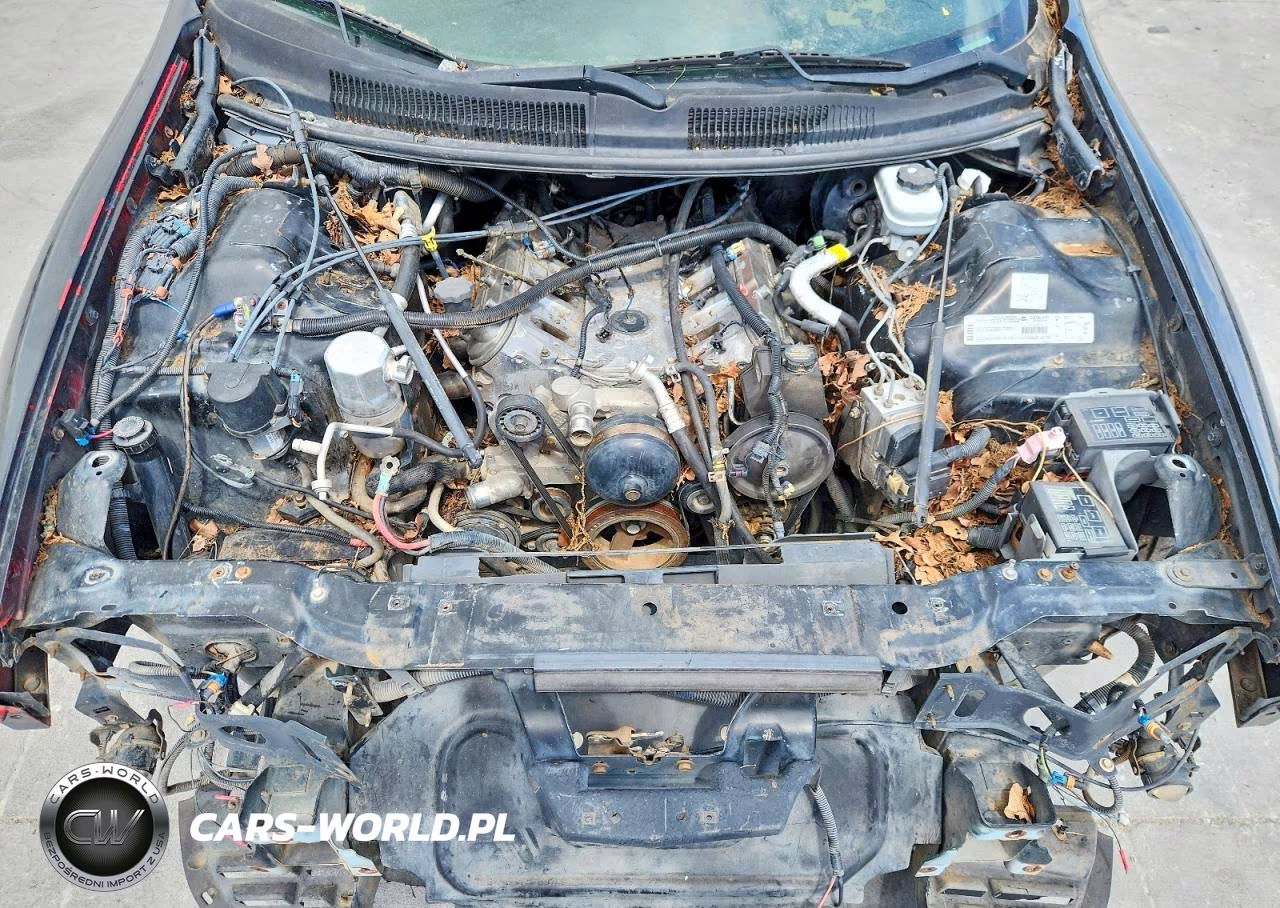 2001 Chevrolet Camaro Z28 VIN:2G1FP22G112101049 - 11