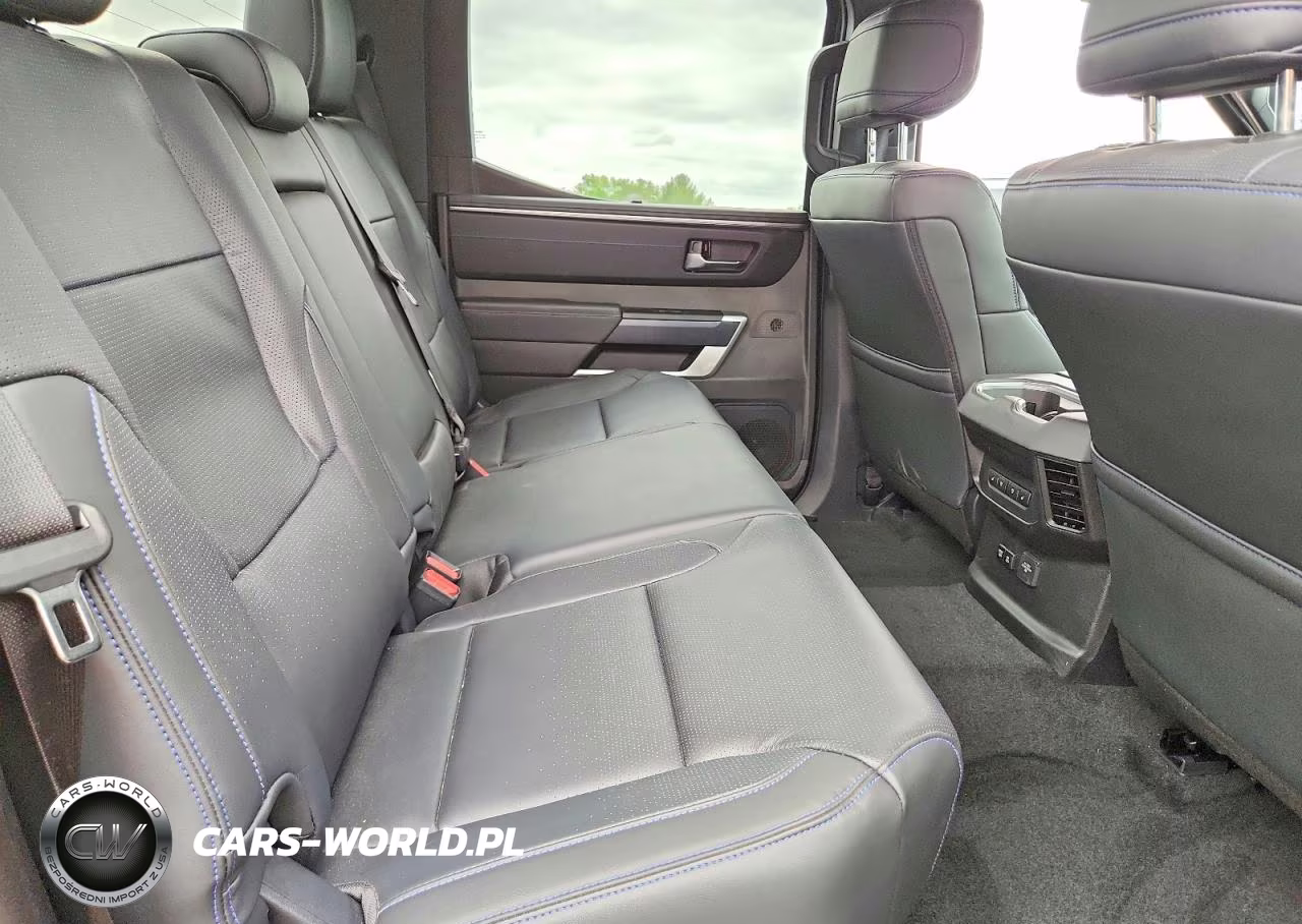 2025 Toyota Tundra Platinum VIN:5TFNA5EC0SX042598 - 10