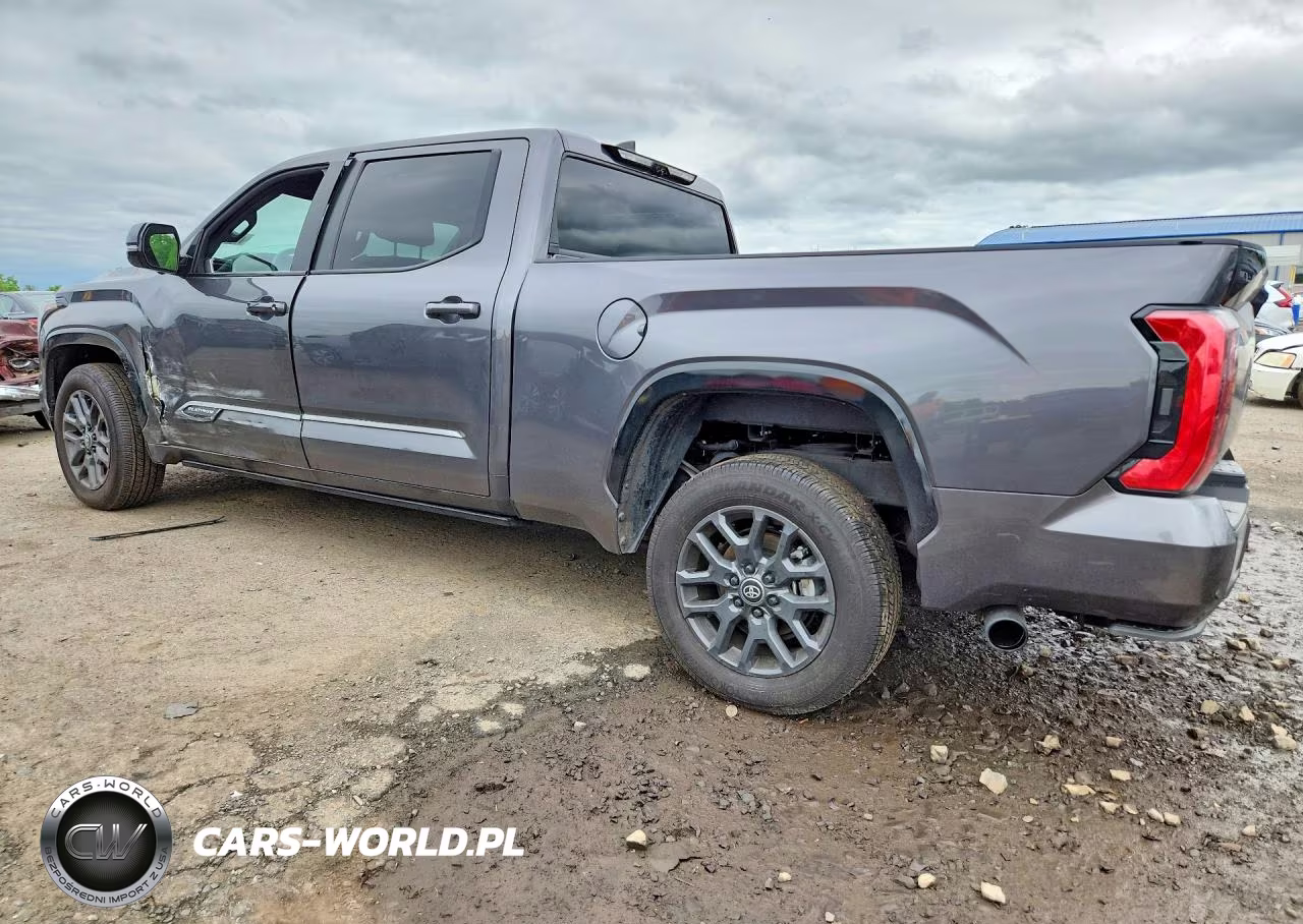 2025 Toyota Tundra Platinum VIN:5TFNA5EC0SX042598 - 2