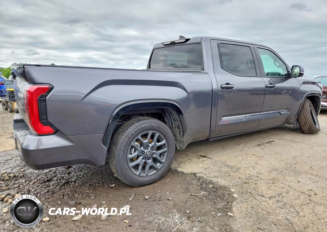 2025 Toyota Tundra Platinum VIN:5TFNA5EC0SX042598 - 3