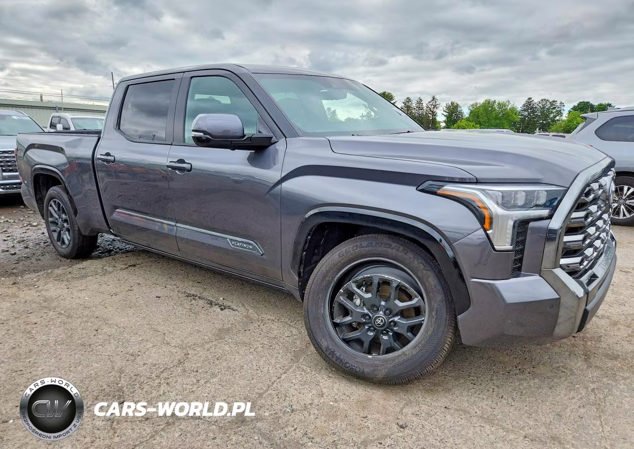 2025 Toyota Tundra Platinum VIN:5TFNA5EC0SX042598 - 4