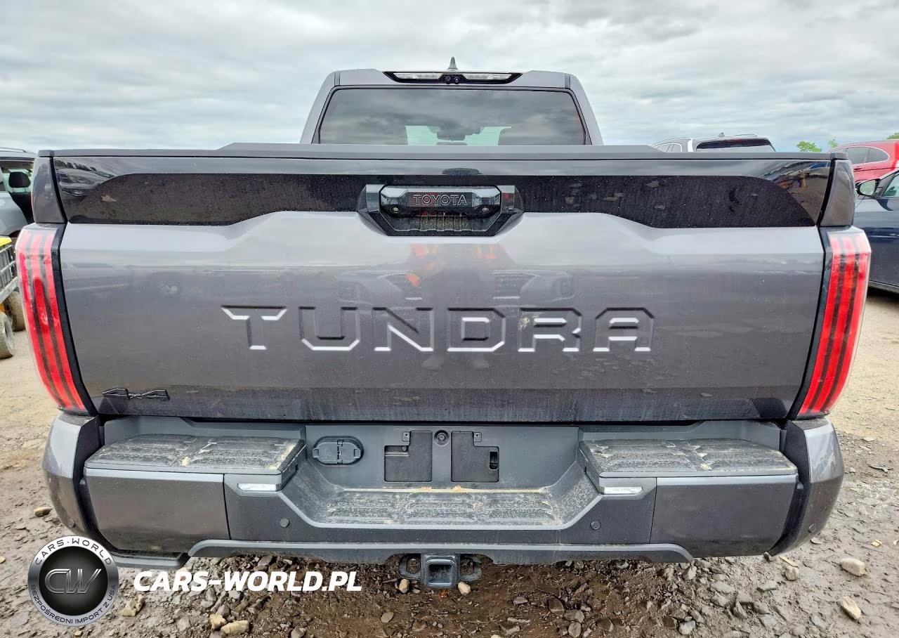 2025 Toyota Tundra Platinum VIN:5TFNA5EC0SX042598 - 6