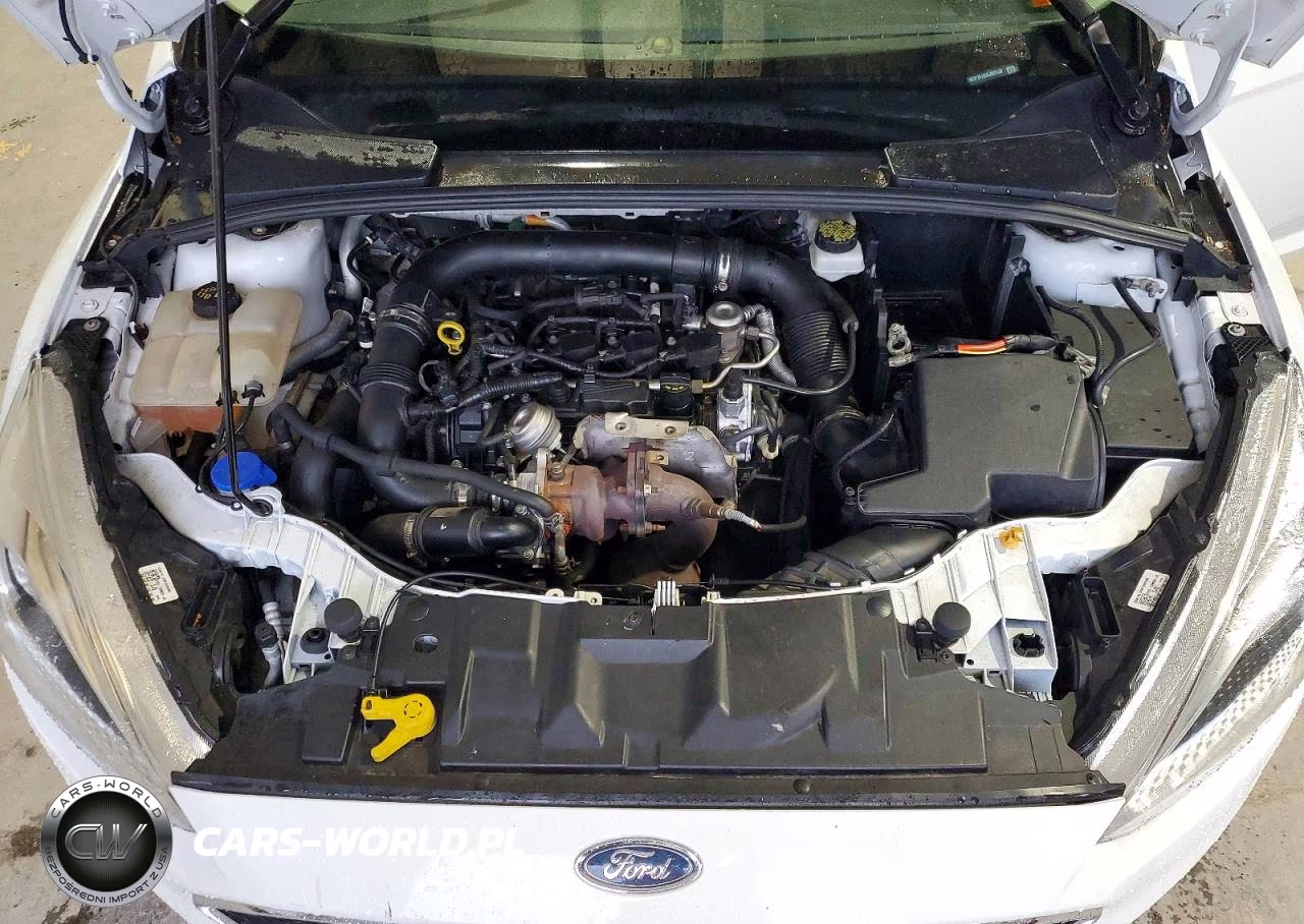 2018 Ford Focus Se VIN:1FADP3FE8JL203130 - 11