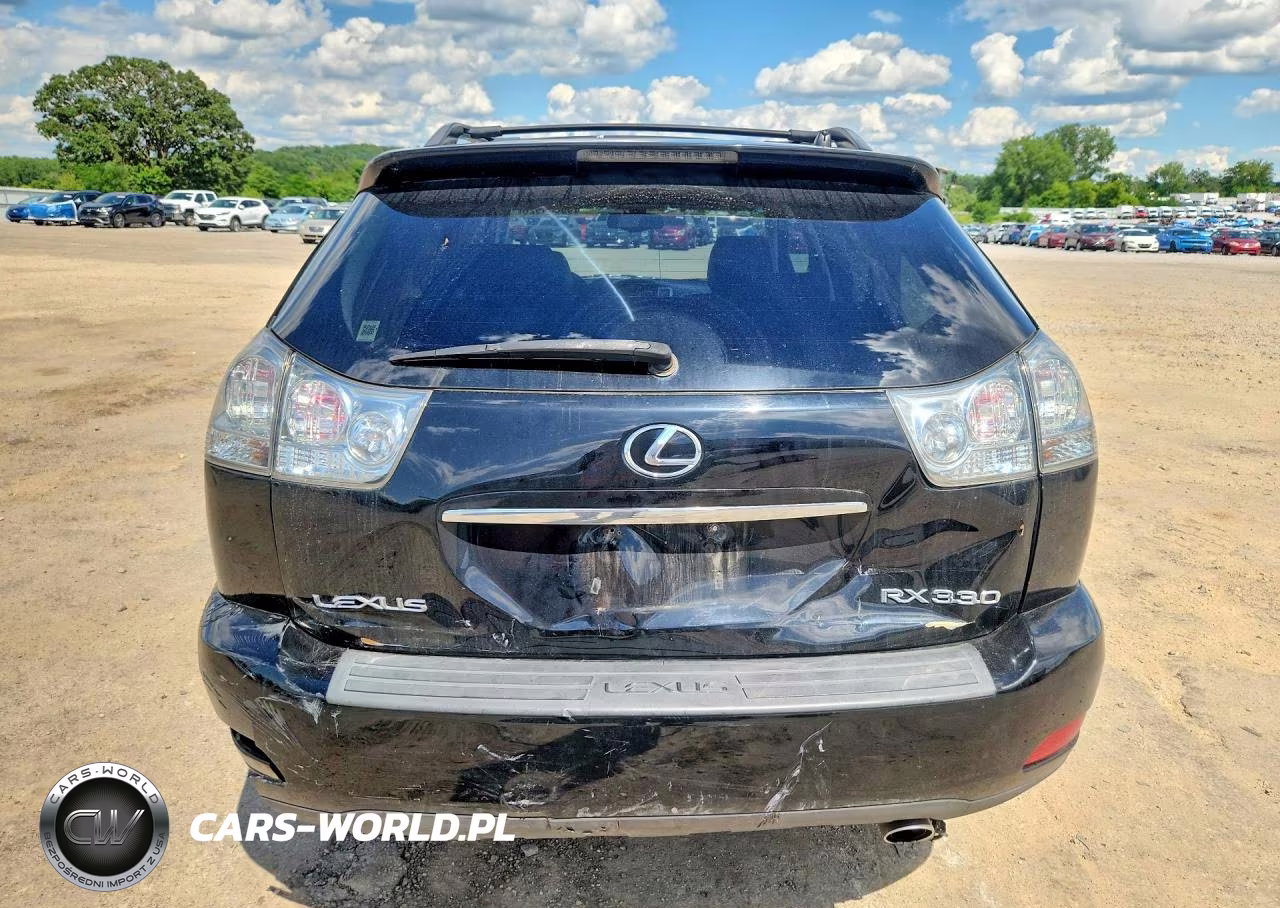 2004 Lexus Rx 330 VIN:2T2HA31U54C016334 - 6
