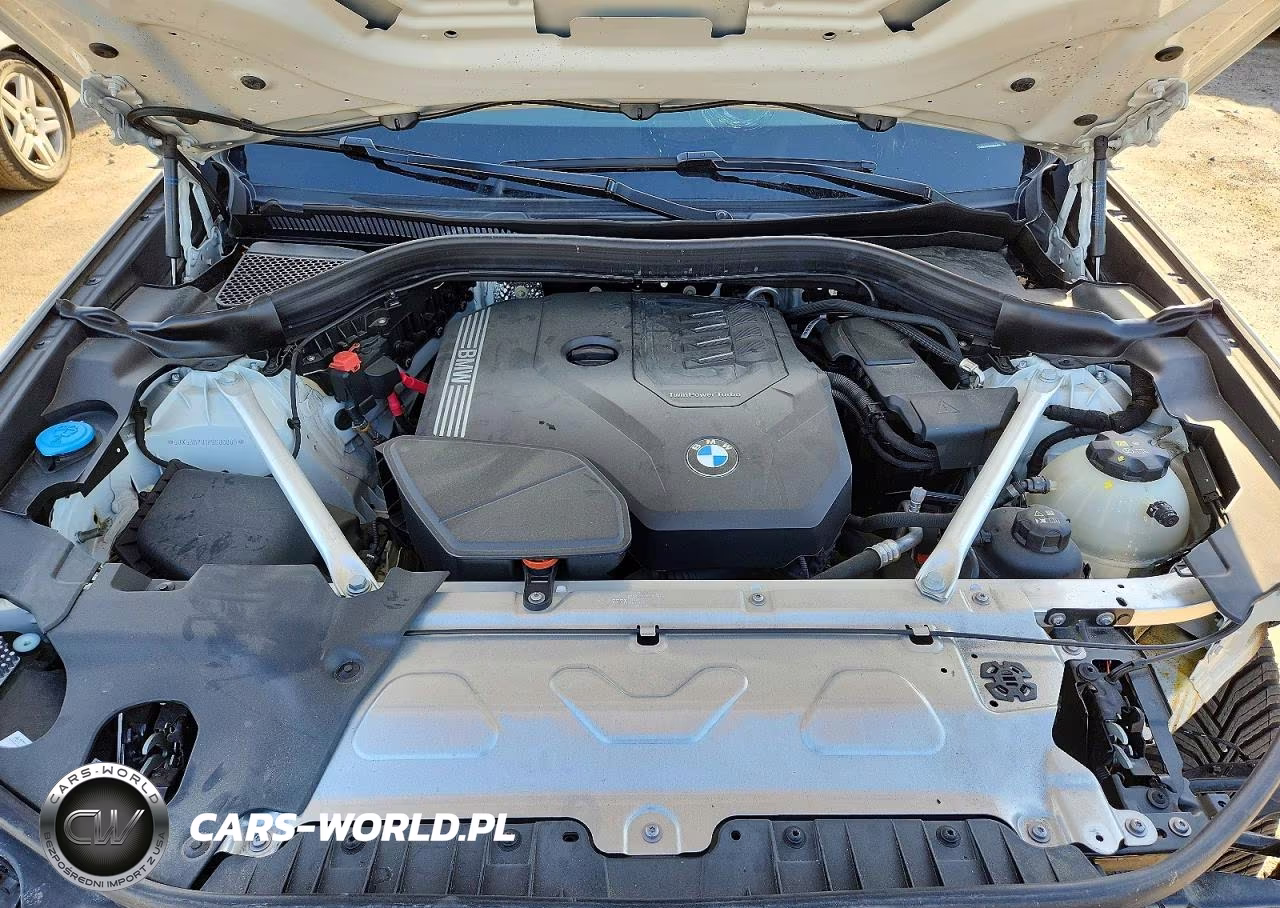 2023 BMW X3 xDrive30I VIN:5UX53DP01P9S00089 - 12