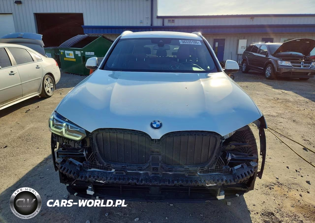 2023 BMW X3 xDrive30I VIN:5UX53DP01P9S00089 - 5