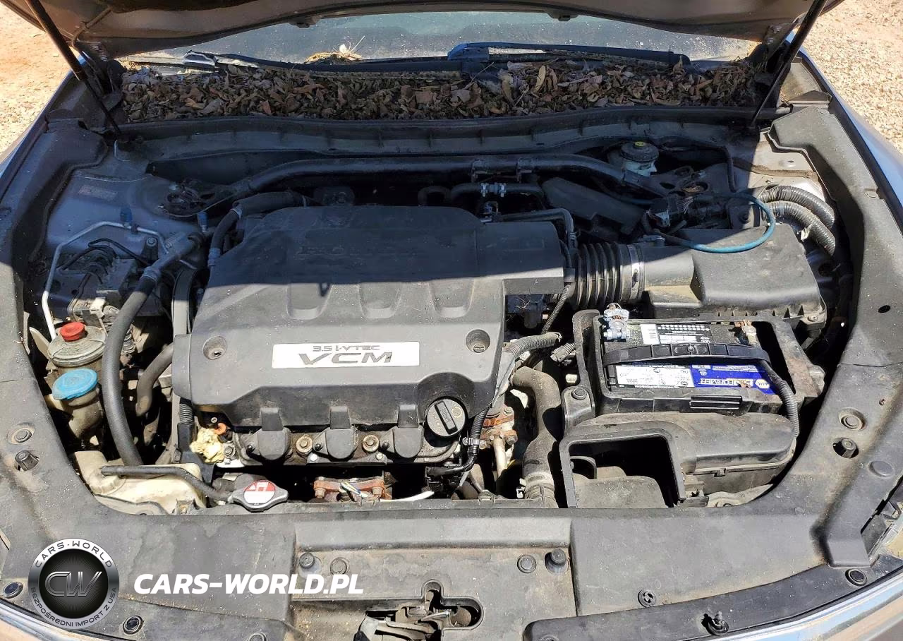 2010 Honda Accord Crosstour Exl VIN:5J6TF1H53AL008413 - 11