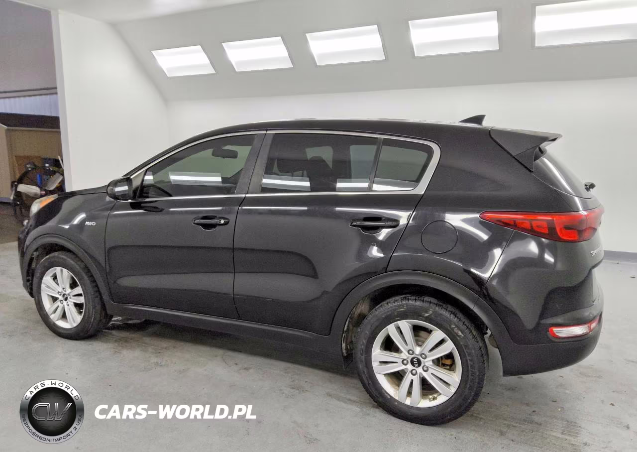 2019 Kia Sportage Lx VIN:KNDPMCAC7K7538086 - 2