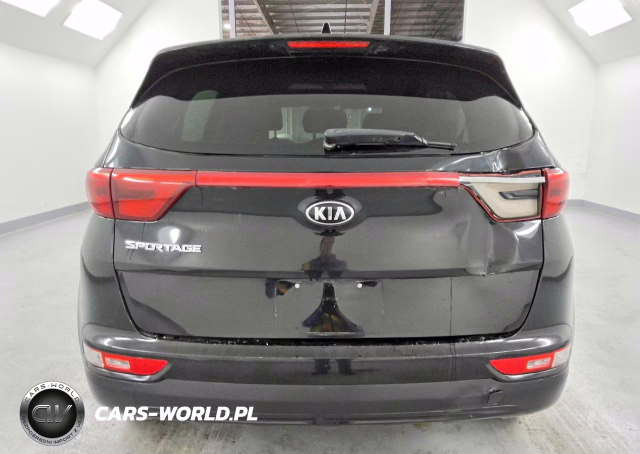 2019 Kia Sportage Lx VIN:KNDPMCAC7K7538086 - 6