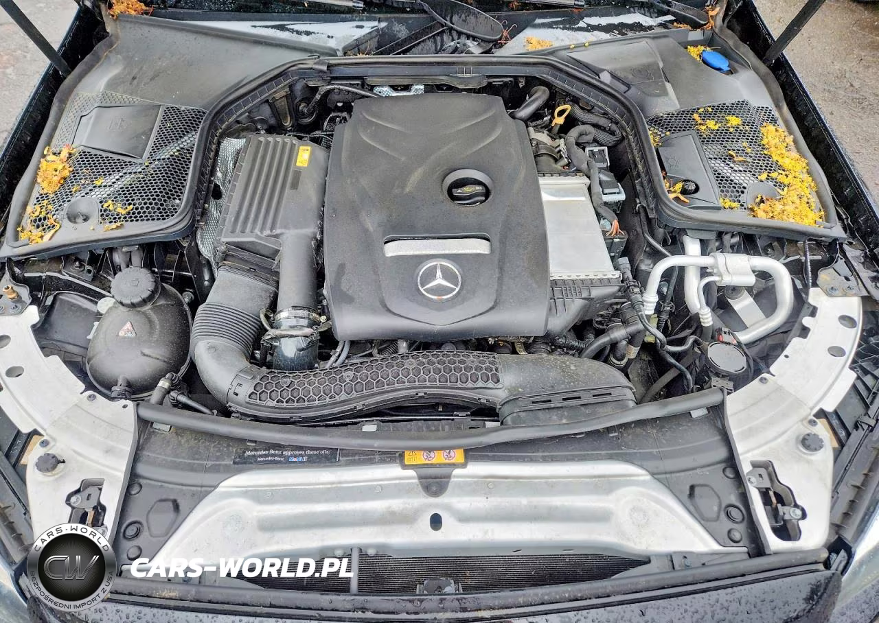 2018 Mercedes-Benz C 300 VIN:WDDWF4JB1JR402239 - 11