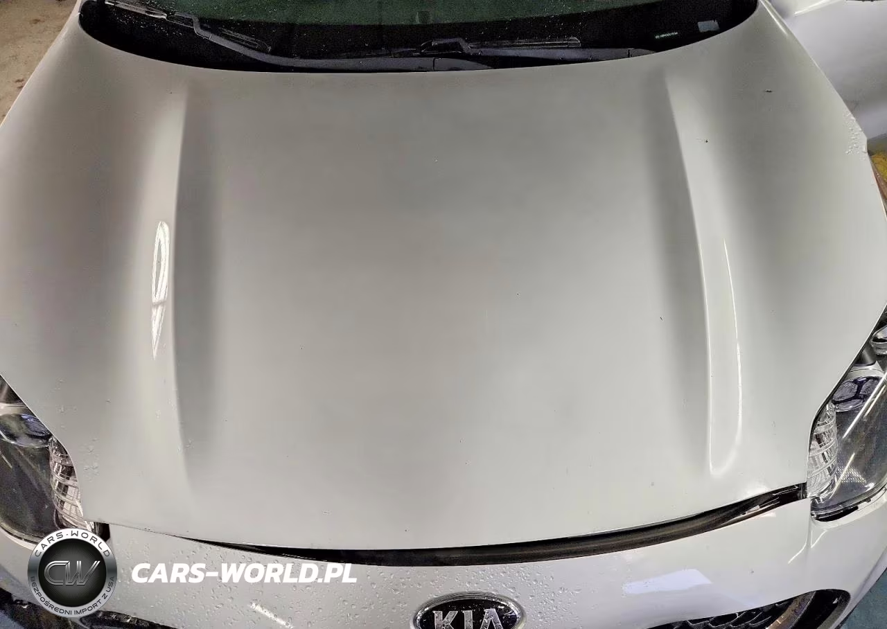 2020 Kia Sportage Lx VIN:KNDPM3AC9L7757844 - 12