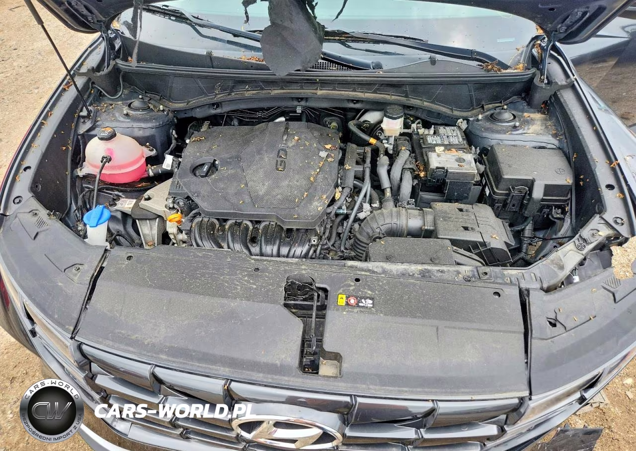 2022 Hyundai Tucson Sel VIN:5NMJFCAE8NH049999 - 11