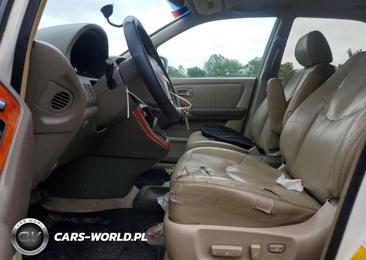 2001 Lexus Rx 300 VIN:JTJHF10U910227101 - 7