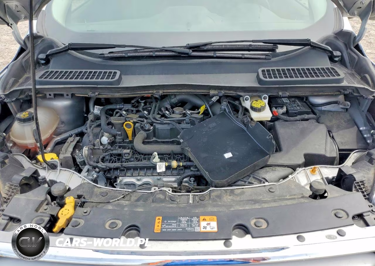 2019 Ford Escape Se VIN:1FMCU0GD5KUA38339 - 12
